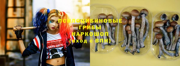 круглые Зеленокумск