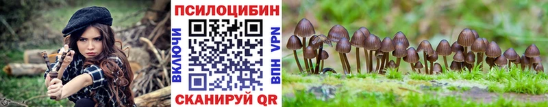 Псилоцибиновые грибы мицелий  Купить  Уссурийск 